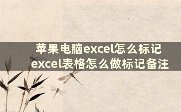 苹果电脑excel怎么标记 excel表格怎么做标记备注